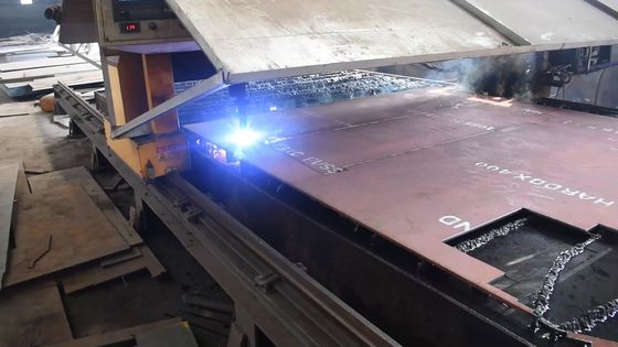 Εναλλακτικά εξαρτήματα πλακόστρωσης BF800C Πλάκα βελονισμού NM400 Χάλυβα S600 Πλάκα βελονισμού